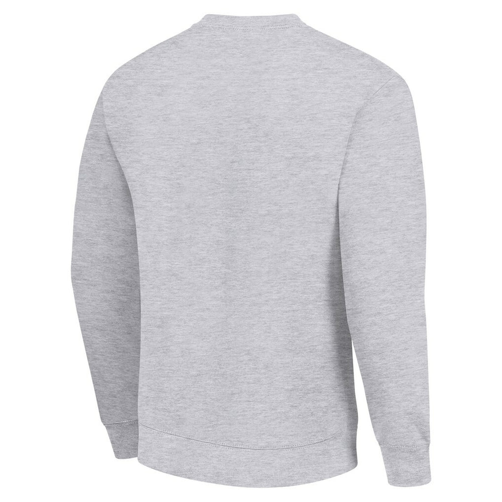 Green Bay Packers Starter Color Scratch Team Graphic Fleece Pullover Sweatshirt Heather Gray | NFL