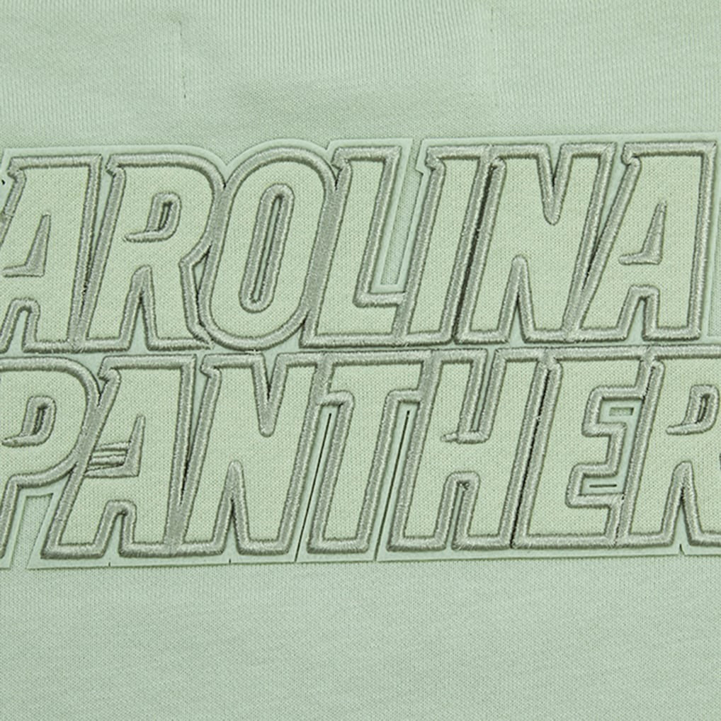 Carolina Panthers Pro Standard Women's Oversized Cropped Neutral Pullover Sweatshirt Light Green | NFL