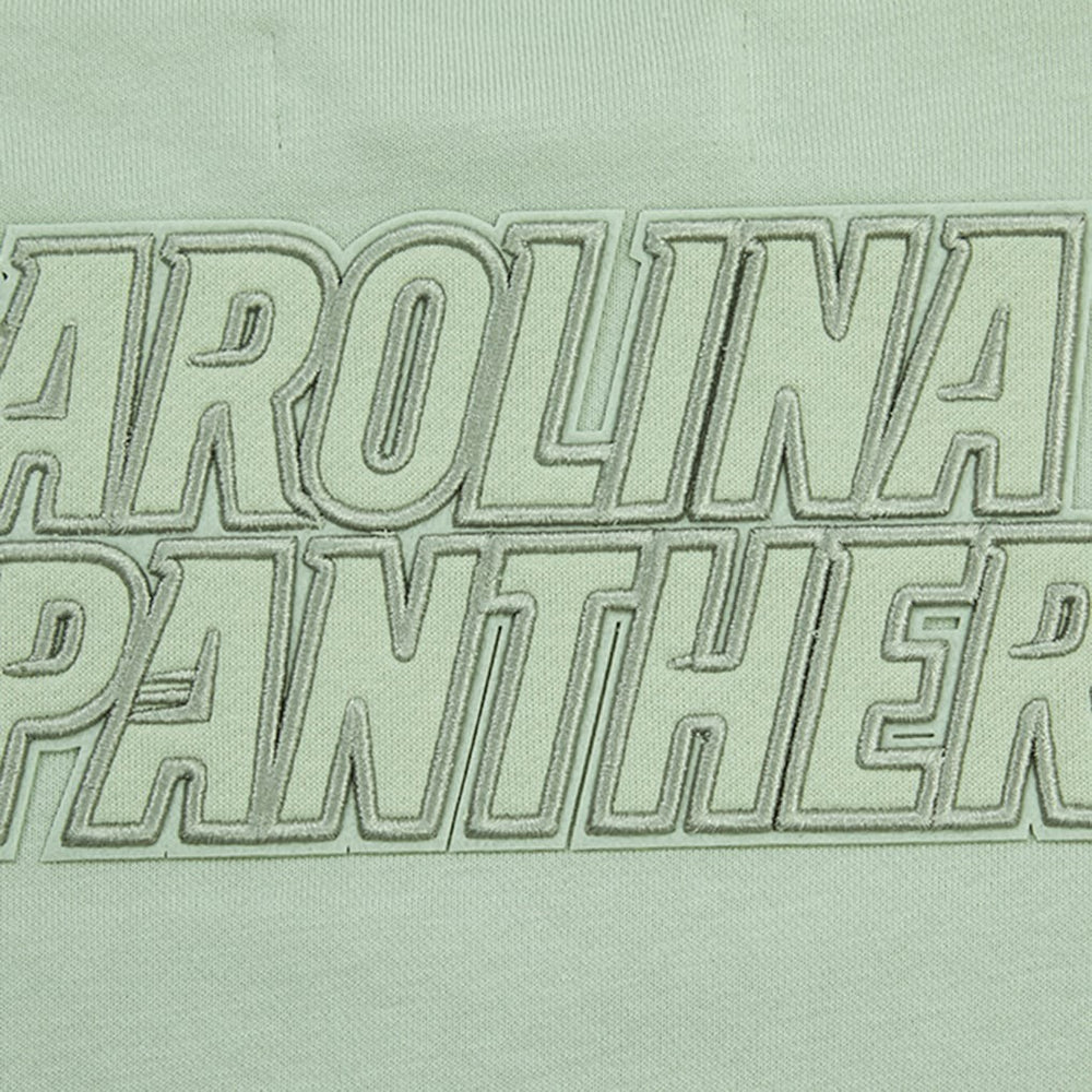 Carolina Panthers Pro Standard Women's Oversized Cropped Neutral Pullover Sweatshirt Light Green | NFL