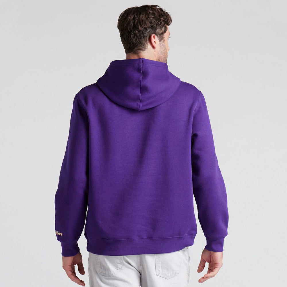 Baltimore Ravens Pylon Cam Legacy Pullover Hoodie Purple | Fanatics