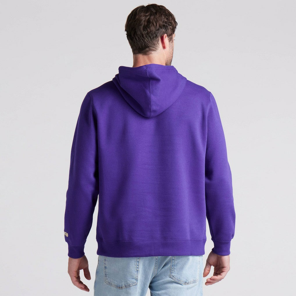 Minnesota Vikings Pylon Cam Legacy Pullover Hoodie Purple | Fanatics
