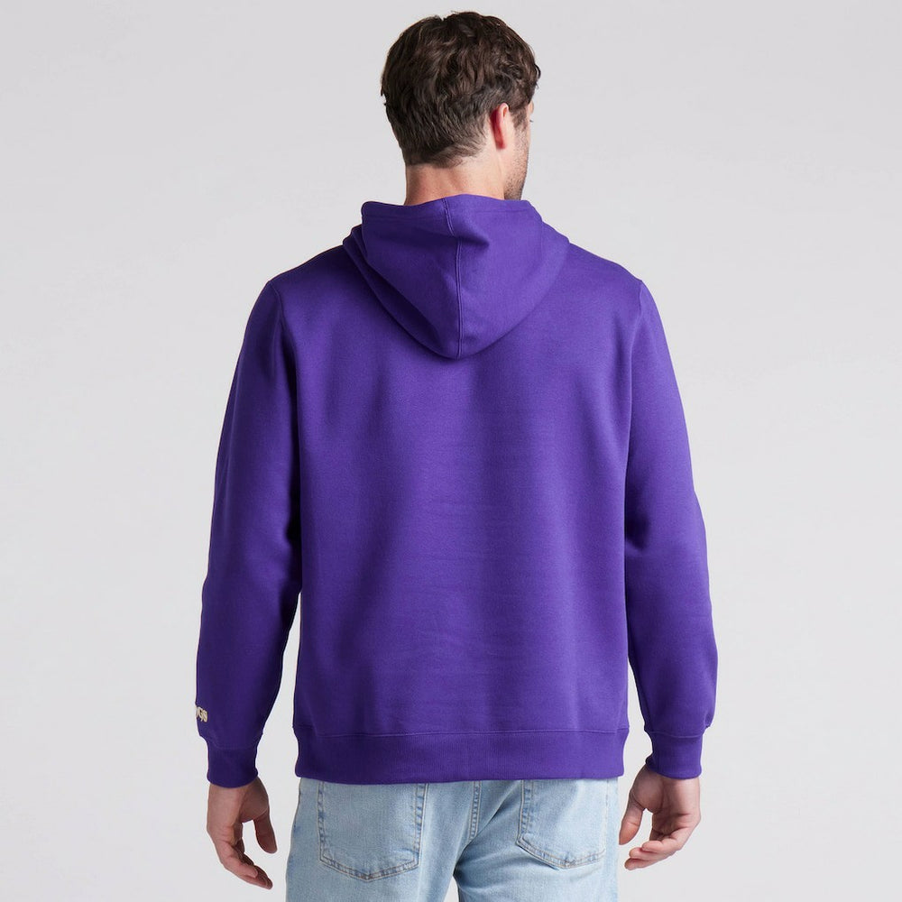 Minnesota Vikings Pylon Cam Legacy Pullover Hoodie Purple | Fanatics