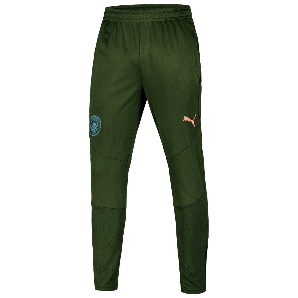 Manchester City 2024/25 dryCELL Training Pants Sky Forest Green | Puma discount