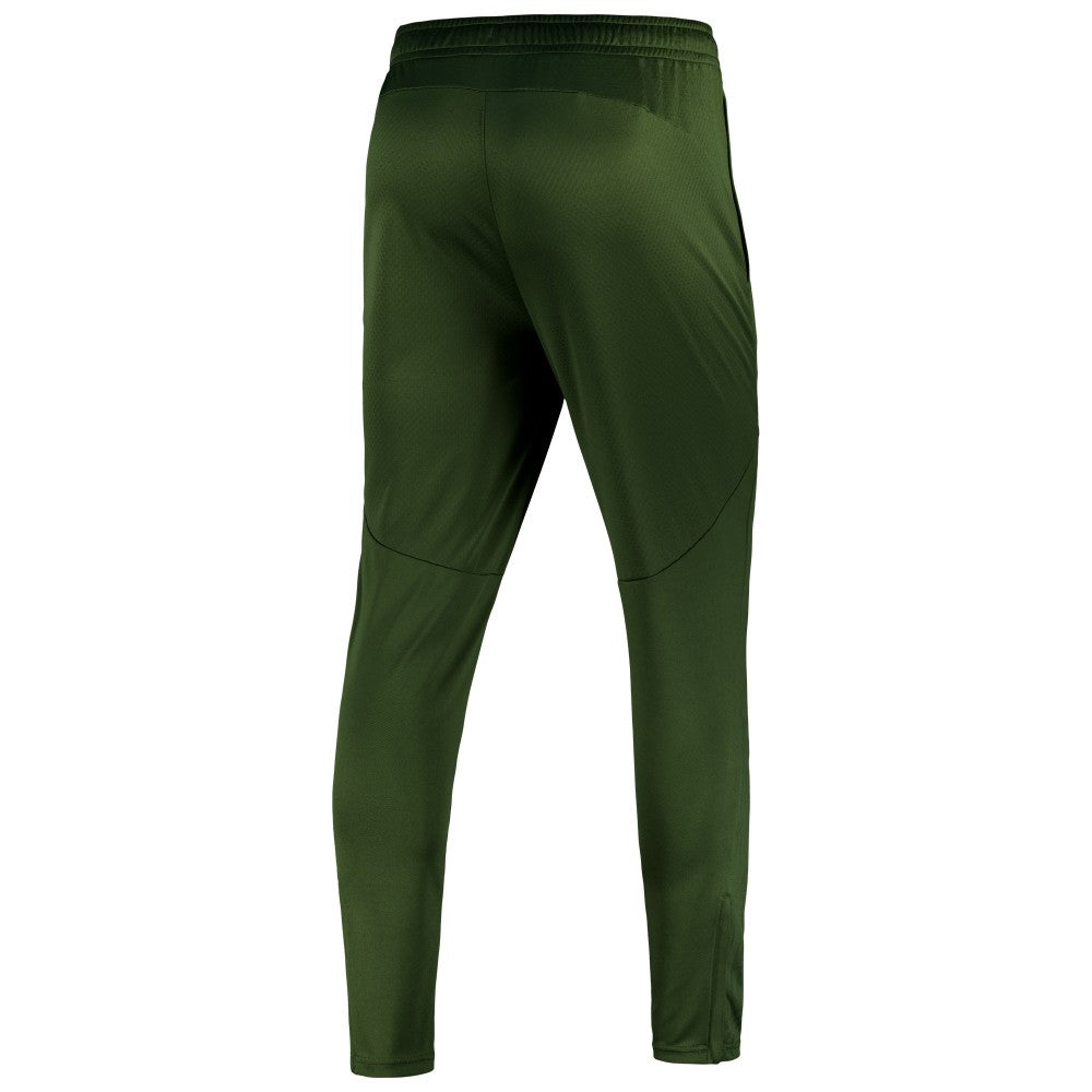 Manchester City 2024/25 dryCELL Training Pants Sky Forest Green | Puma discount