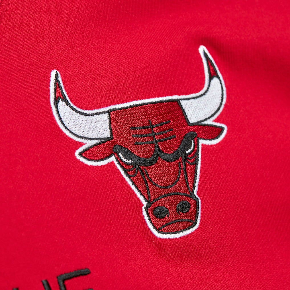 Dennis Rodman Chicago Bulls Premium Nickname T-Shirt Red - NBA