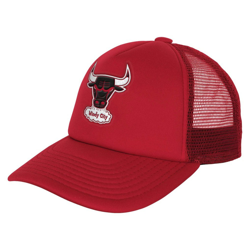 Chicago Bulls Youth Core Evergreen Trucker Adjustable Hat Red - NBA