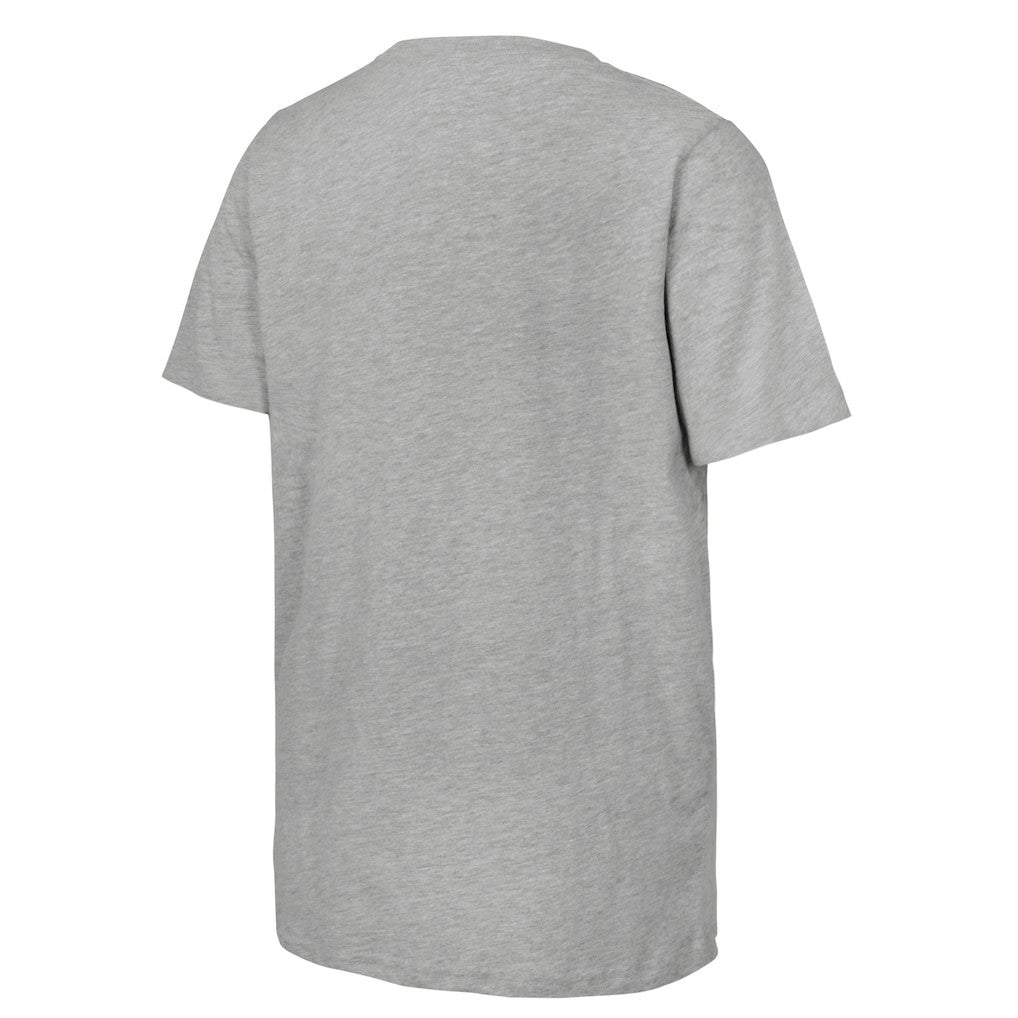 Boston Celtics Stadium Essentials Unisex 2024 NBA Finals Revolution T-Shirt Heather Gray - NBA