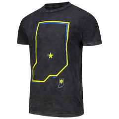 Indiana Pacers Stadium Essentials Unisex Vintage T-Shirt Black - NBA
