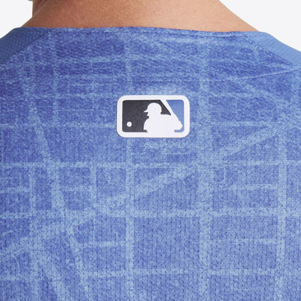 Washington Nationals Nike 2025 City Connect Limited Jersey - MLB