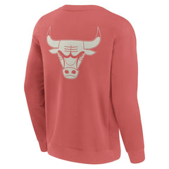 Chicago Bulls Elements Future Ground Lettering Pullover Sweatshirt Red - NBA