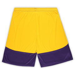 Minnesota Vikings Big & Tall Launch Shorts Purple/Gold | Fanatics