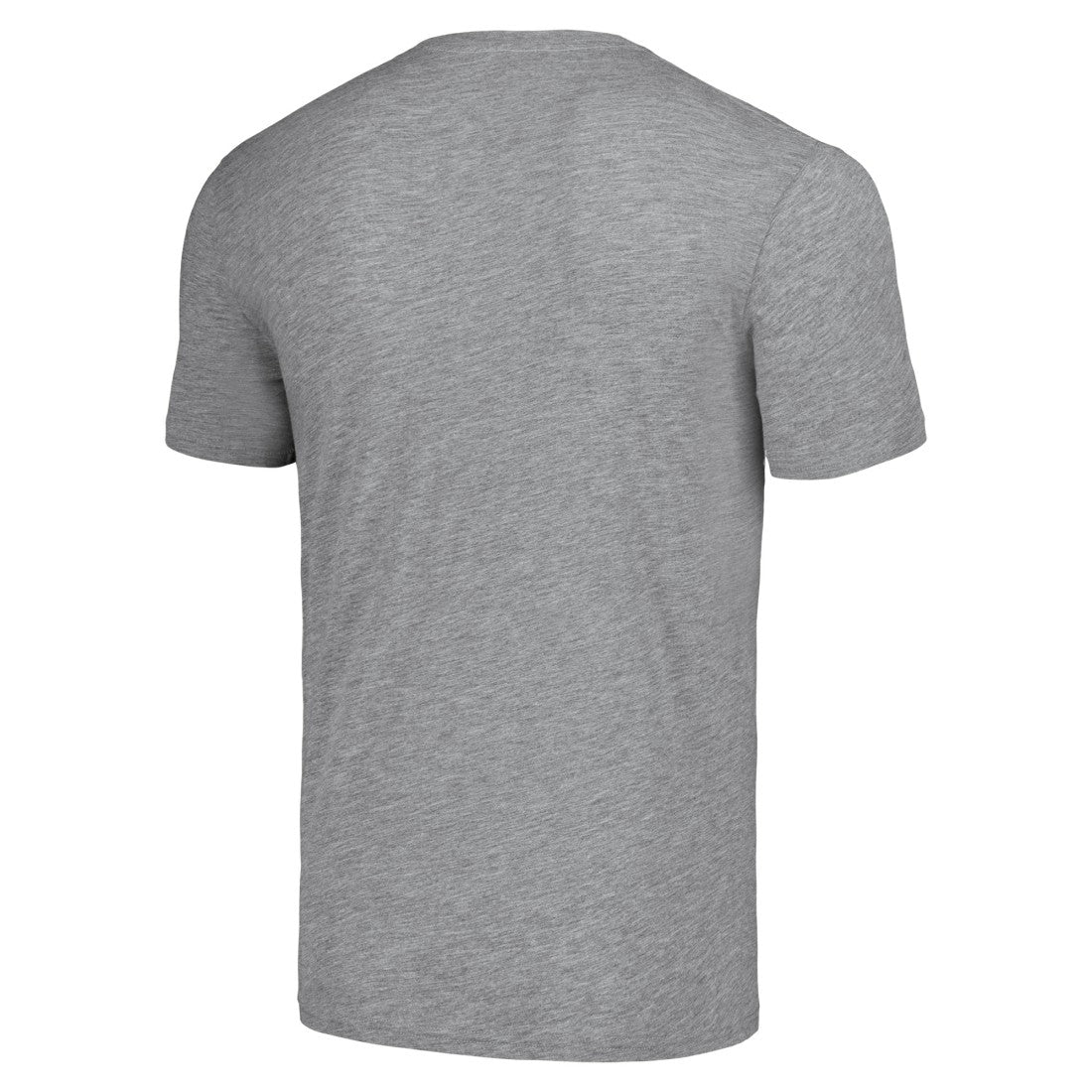 Detroit Lions NFL x Homage x Beavis and Butt-Head Unisex Tri-Blend T-Shirt – Gray | NFL
