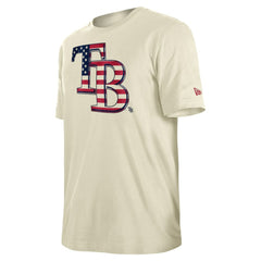 Tampa Bay Rays New Era Americana Flag Fill T-Shirt - MLB