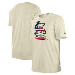 St. Louis Cardinals New Era Americana Flag Fill T-Shirt - MLB