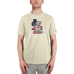 St. Louis Cardinals New Era Americana Flag Fill T-Shirt - MLB