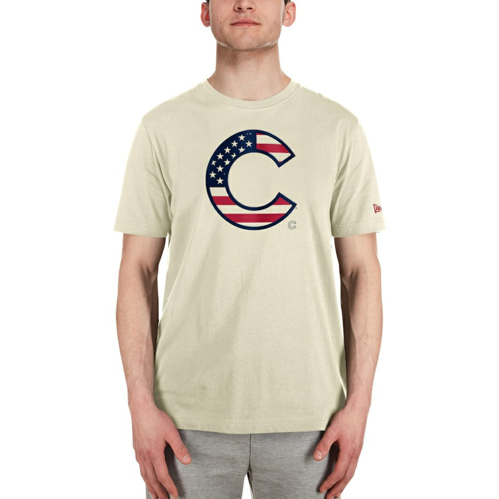 Chicago Cubs New Era Americana Flag Fill T-Shirt - MLB