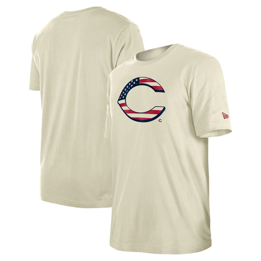 Cincinnati Reds New Era Americana Flag Fill T-Shirt - MLB