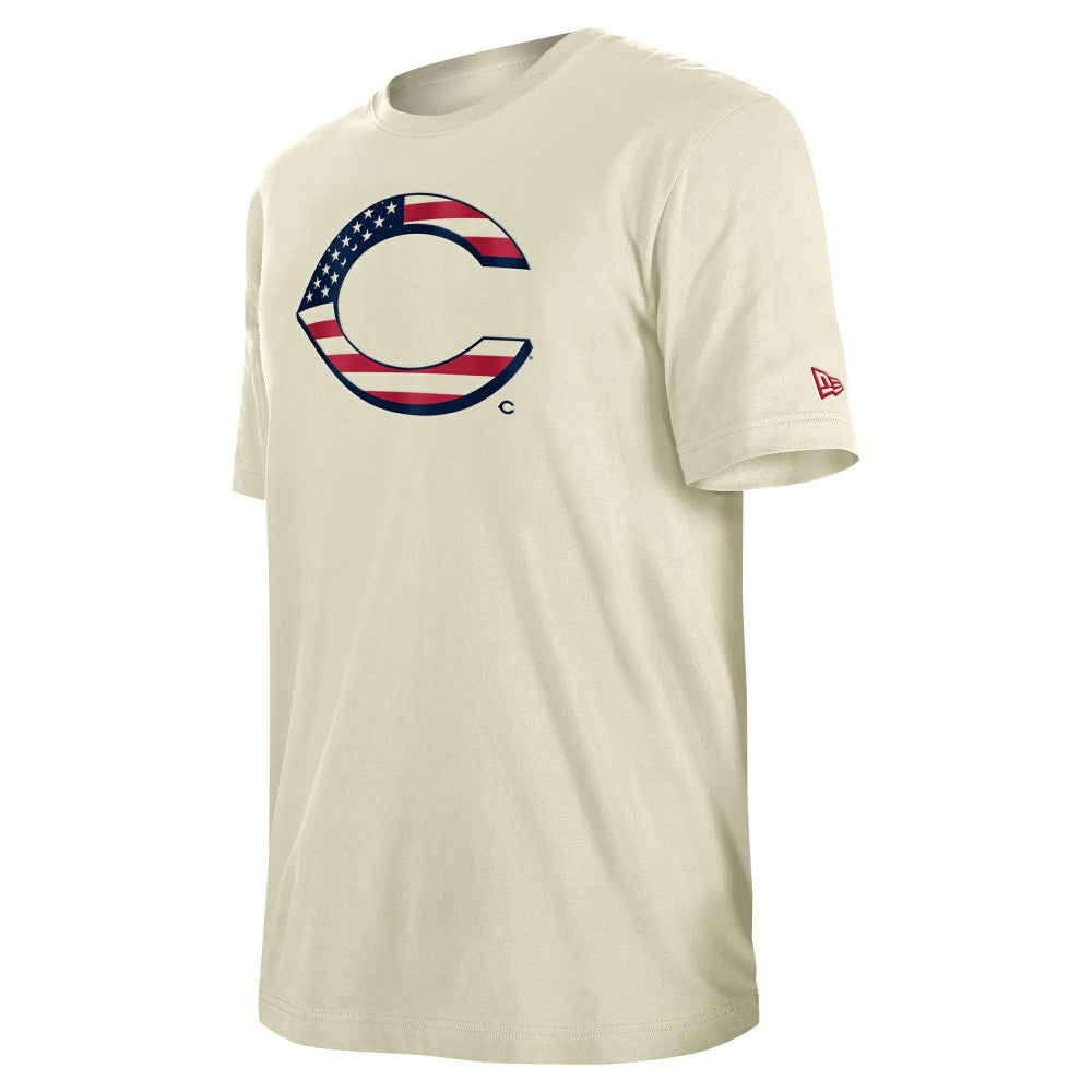 Cincinnati Reds New Era Americana Flag Fill T-Shirt - MLB