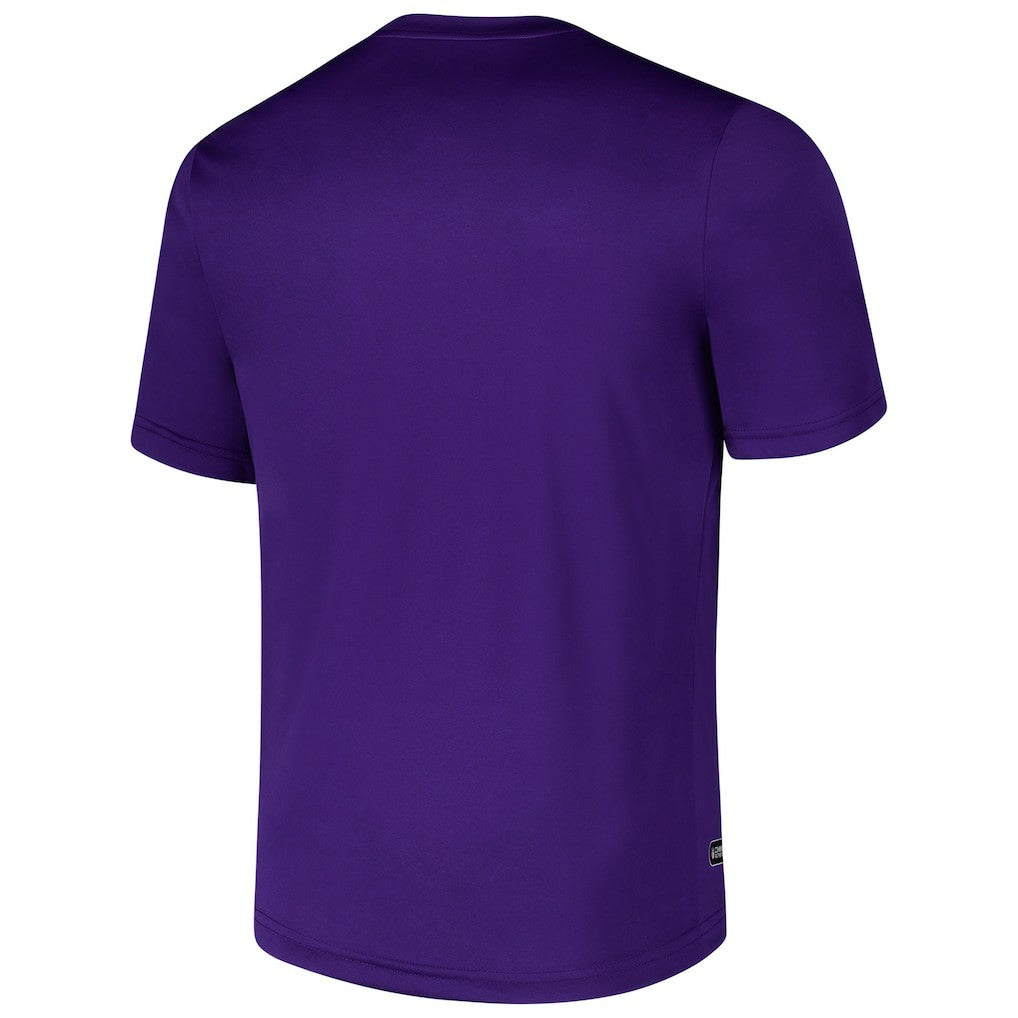 Minnesota Vikings Stadium Retro T-Shirt Purple | NFL