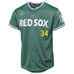 David Ortiz Boston Red Sox Nike Youth 2025 City Connect Limited Retired Player Jersey - MLB