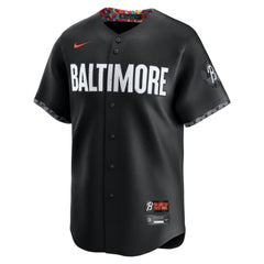 Adley Rutschman Baltimore Orioles Nike City Connect Limited Jersey - MLB