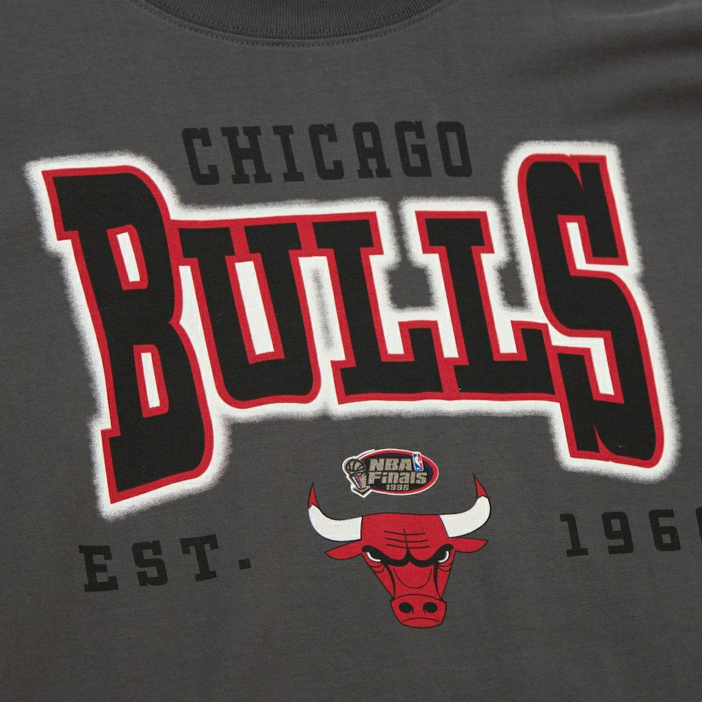 Chicago Bulls Women's Hardwood Classics Oversized Boyfriend T-Shirt Charcoal - NBA
