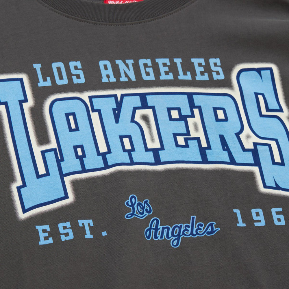 Los Angeles Lakers Women's Hardwood Classics Oversized Boyfriend T-Shirt Charcoal - NBA