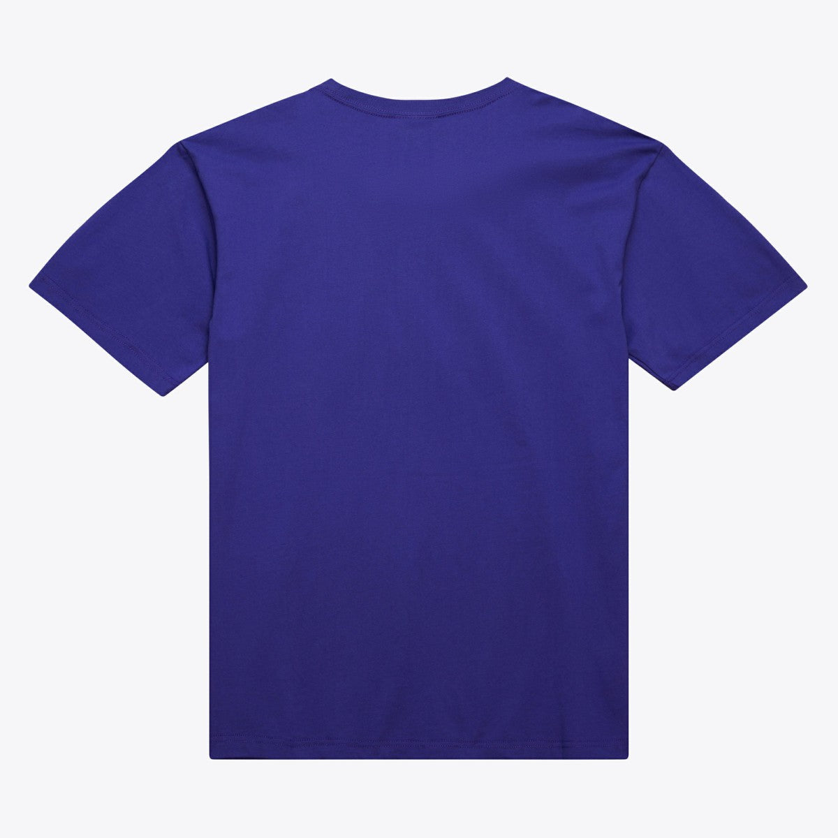 Milwaukee Bucks Hardwood Classics Neon Nights Premium T-Shirt Purple - NBA