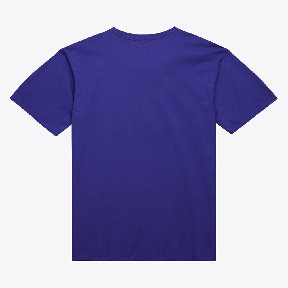 Milwaukee Bucks Hardwood Classics Neon Nights Premium T-Shirt Purple - NBA