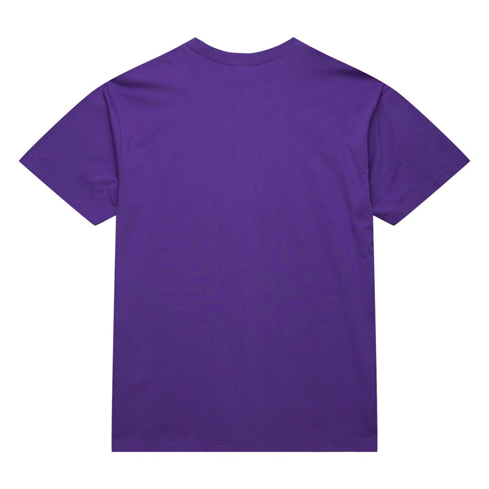 Toronto Raptors Hardwood Classics Neon Nights Premium T-Shirt Raptors Purple - NBA