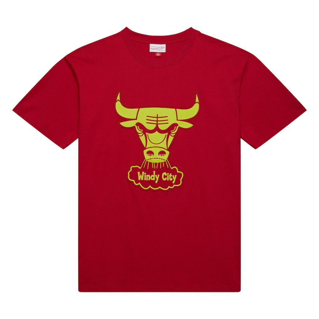Chicago Bulls Hardwood Classics Neon Nights Premium T-Shirt Red - NBA