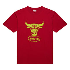 Chicago Bulls Hardwood Classics Neon Nights Premium T-Shirt Red - NBA