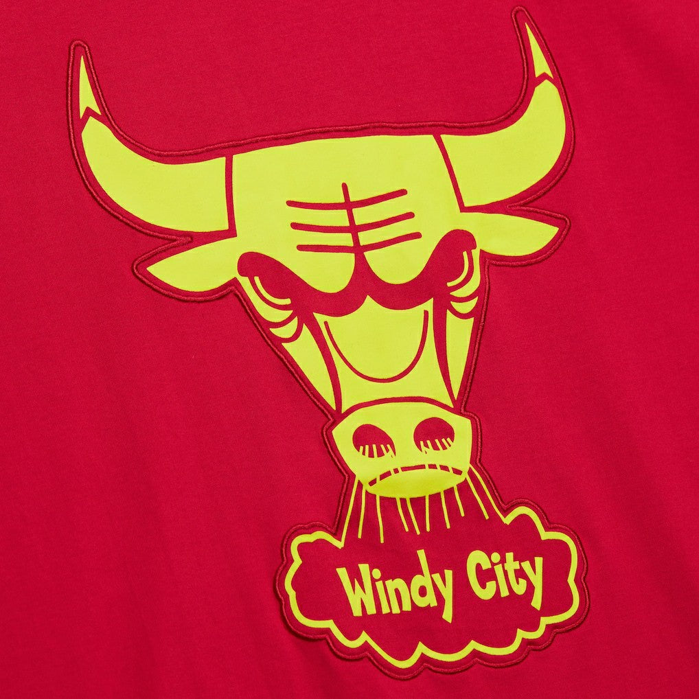 Chicago Bulls Hardwood Classics Neon Nights Premium T-Shirt Red - NBA