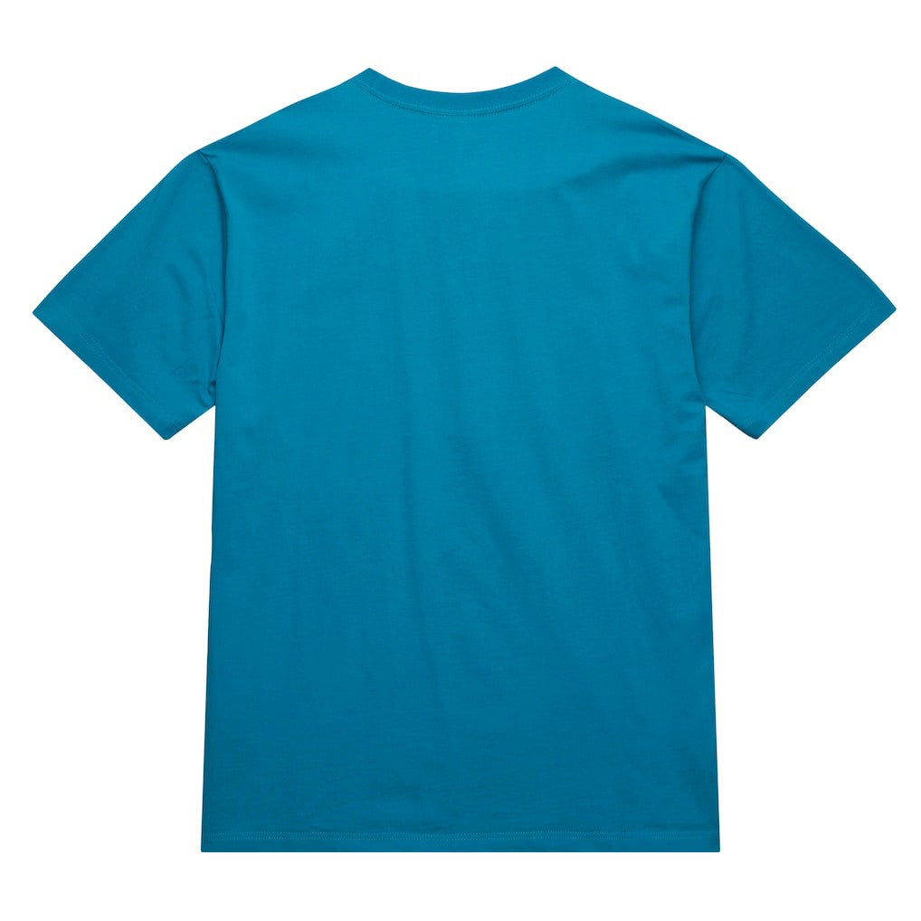 Charlotte Hornets Hardwood Classics Neon Nights Premium T-Shirt Teal - NBA