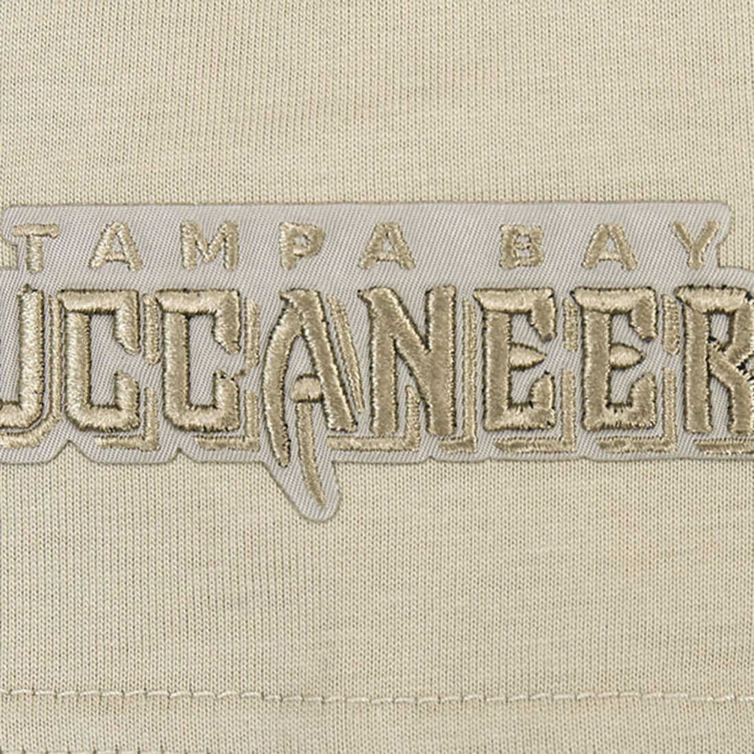 Tampa Bay Buccaneers Pro Standard Neutrals Capsule Short Sleeve Pullover Hoodie Tan | NFL