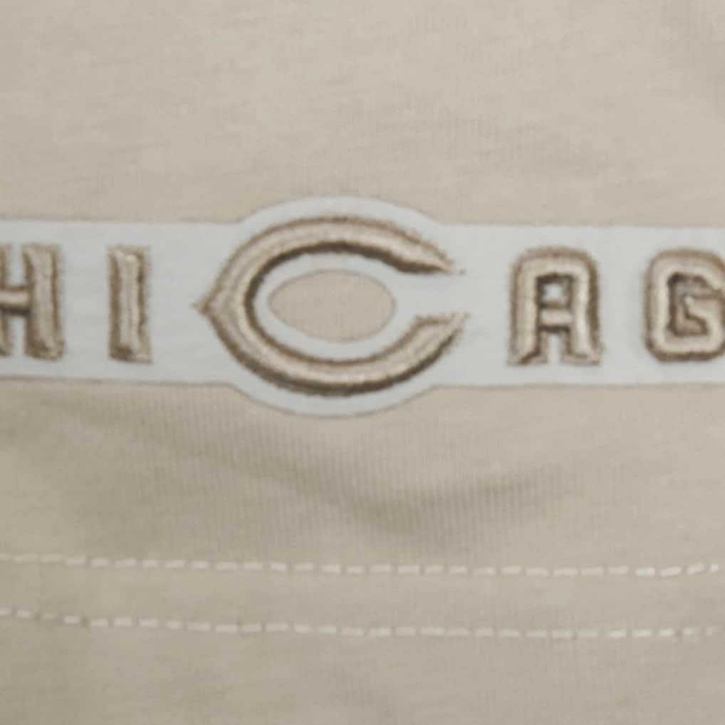 Chicago Bears Pro Standard Neutrals Capsule Short Sleeve Pullover Hoodie Tan | NFL