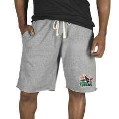 Houston Texans Concepts Sport Mainstream Tri-Blend Shorts Gray | NFL