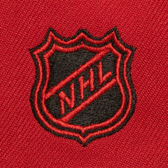 Detroit Red Wings Mitchell & Ness Soul Triple Up Snapback Hat - Red - NHL