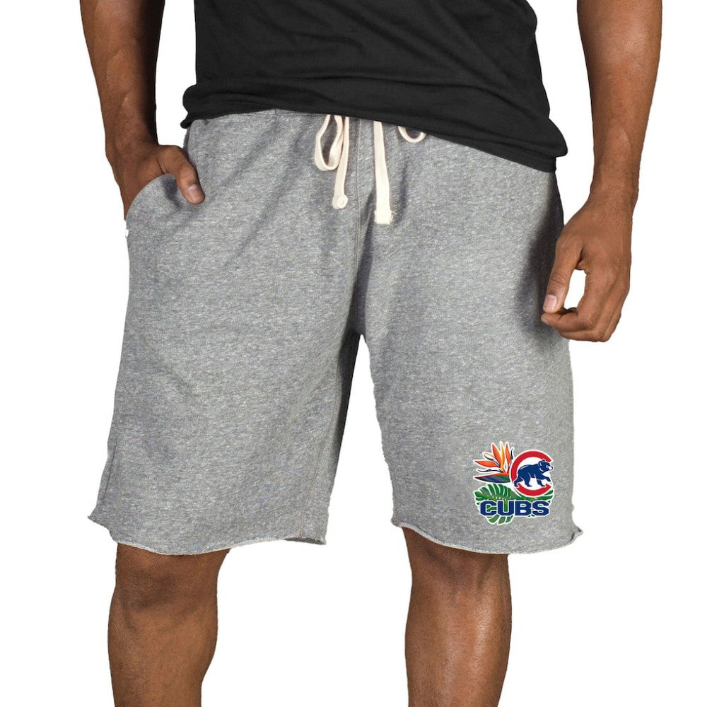 Chicago Cubs Concepts Sport Mainstream Tri-Blend Shorts - MLB
