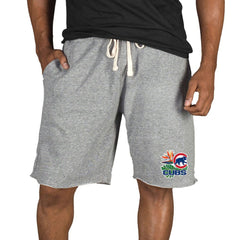 Chicago Cubs Concepts Sport Mainstream Tri-Blend Shorts - MLB