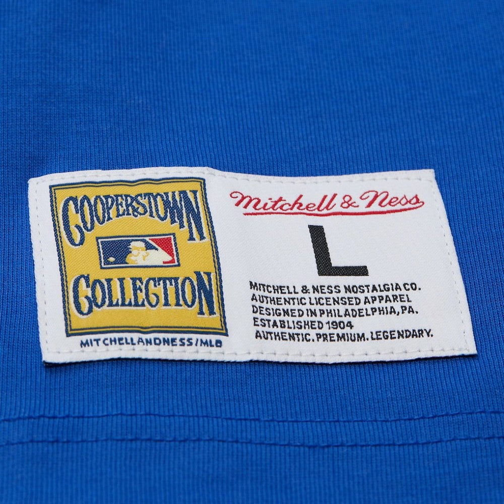 Hank Aaron Atlanta Braves Mitchell & Ness Legends Collection Vintage Logo T-Shirt - MLB