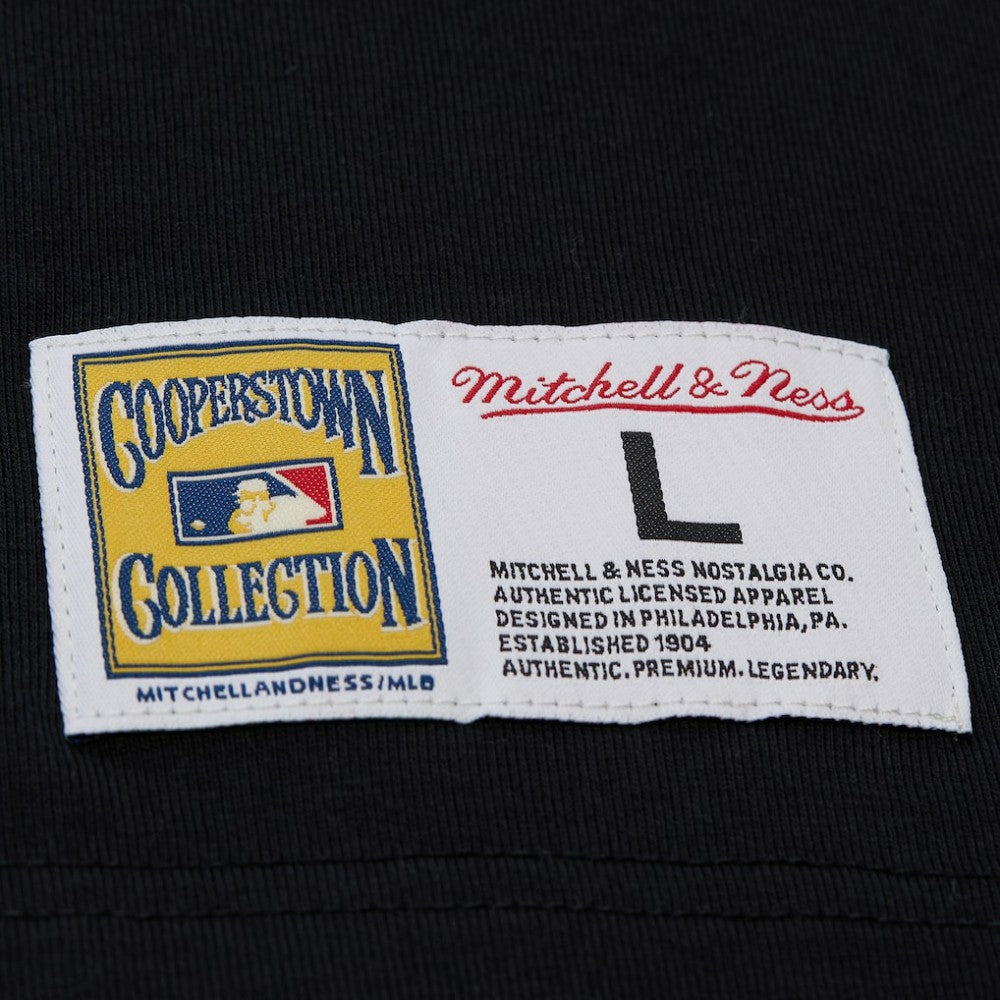 Willie Mays San Francisco Giants Mitchell & Ness Legends Collection Vintage Logo T-Shirt - MLB