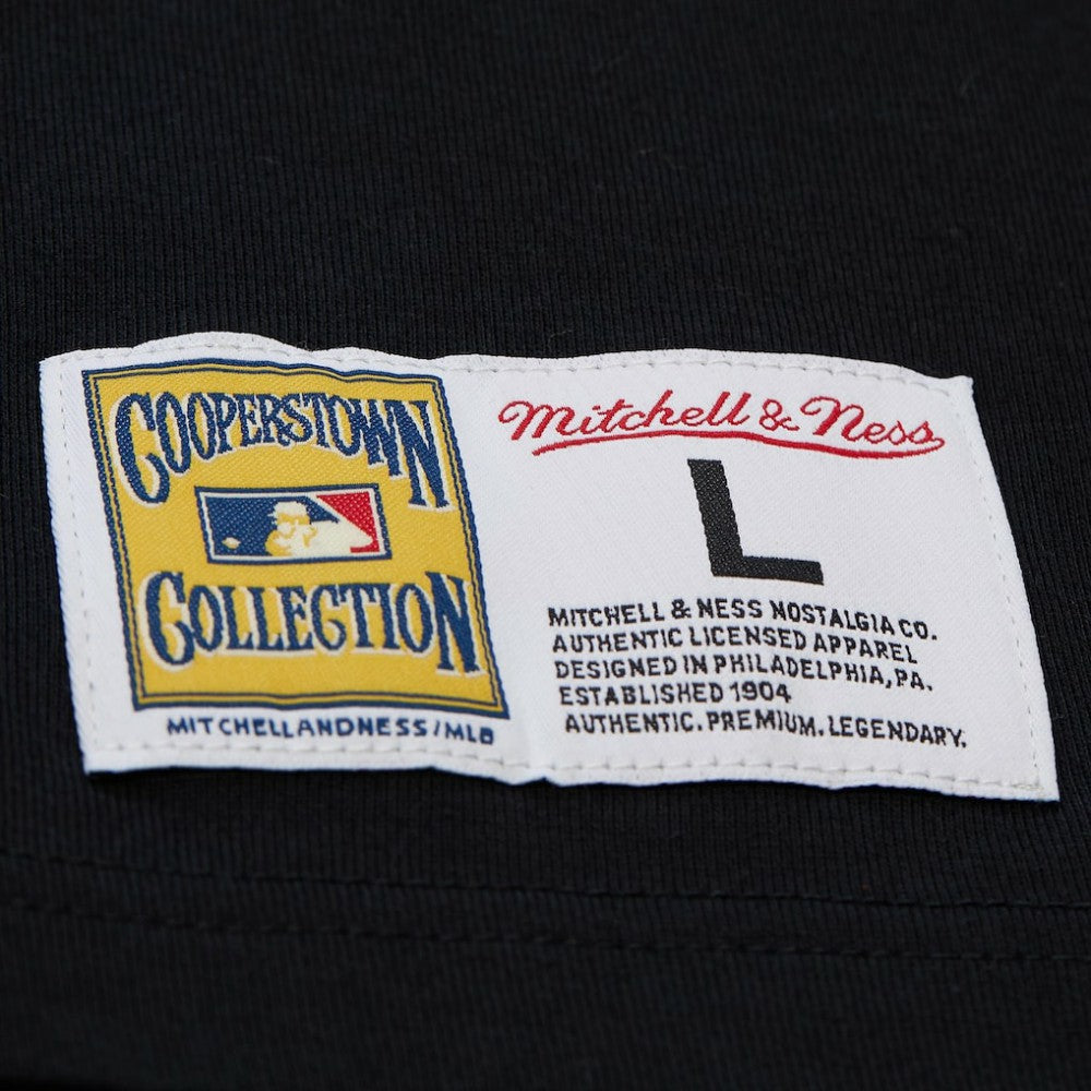 Cal Ripken Jr. Baltimore Orioles Mitchell & Ness Legends Collection Vintage Logo T-Shirt - MLB