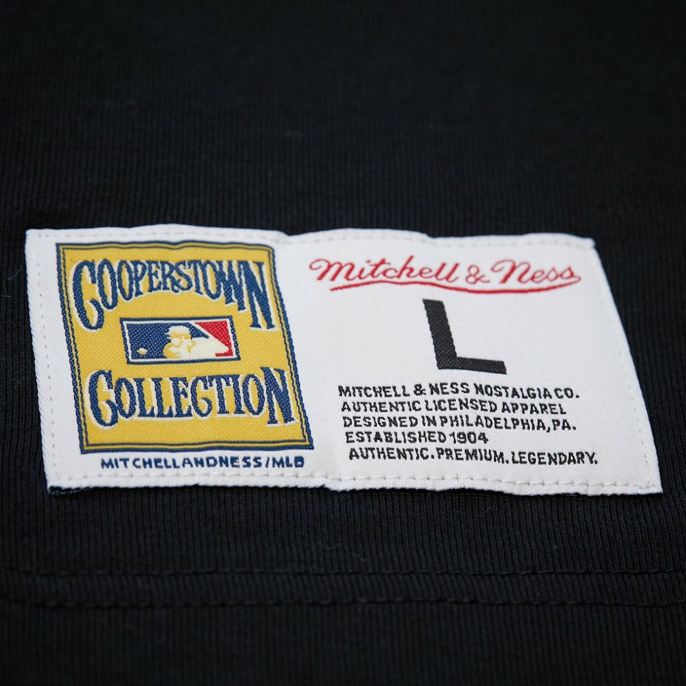 Roberto Clemente Pittsburgh Pirates Mitchell & Ness Legends Collection Vintage Logo T-Shirt - MLB
