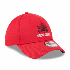 Cincinnati Reds New Era City Connect Batting Practice 39THIRTY Flex Hat - MLB