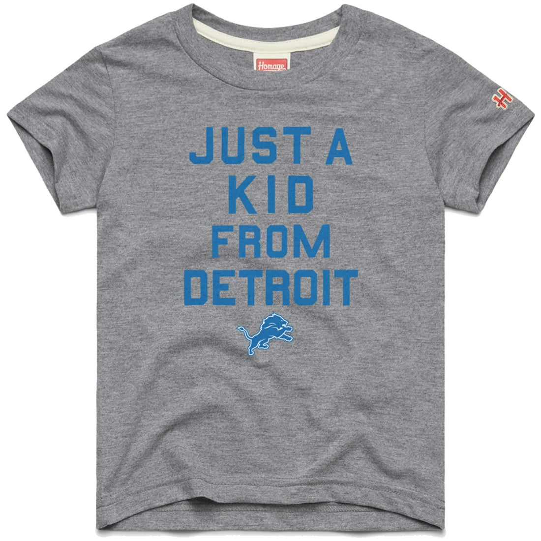 Detroit Lions Homage Youth Just a Kid Tri-Blend T-Shirt Gray | NFL