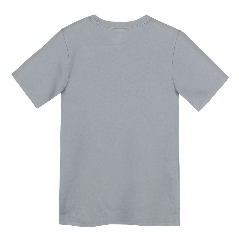Dallas Cowboys Preschool Icon Legend Dri-FIT T-Shirt Gray | Nike for Sale