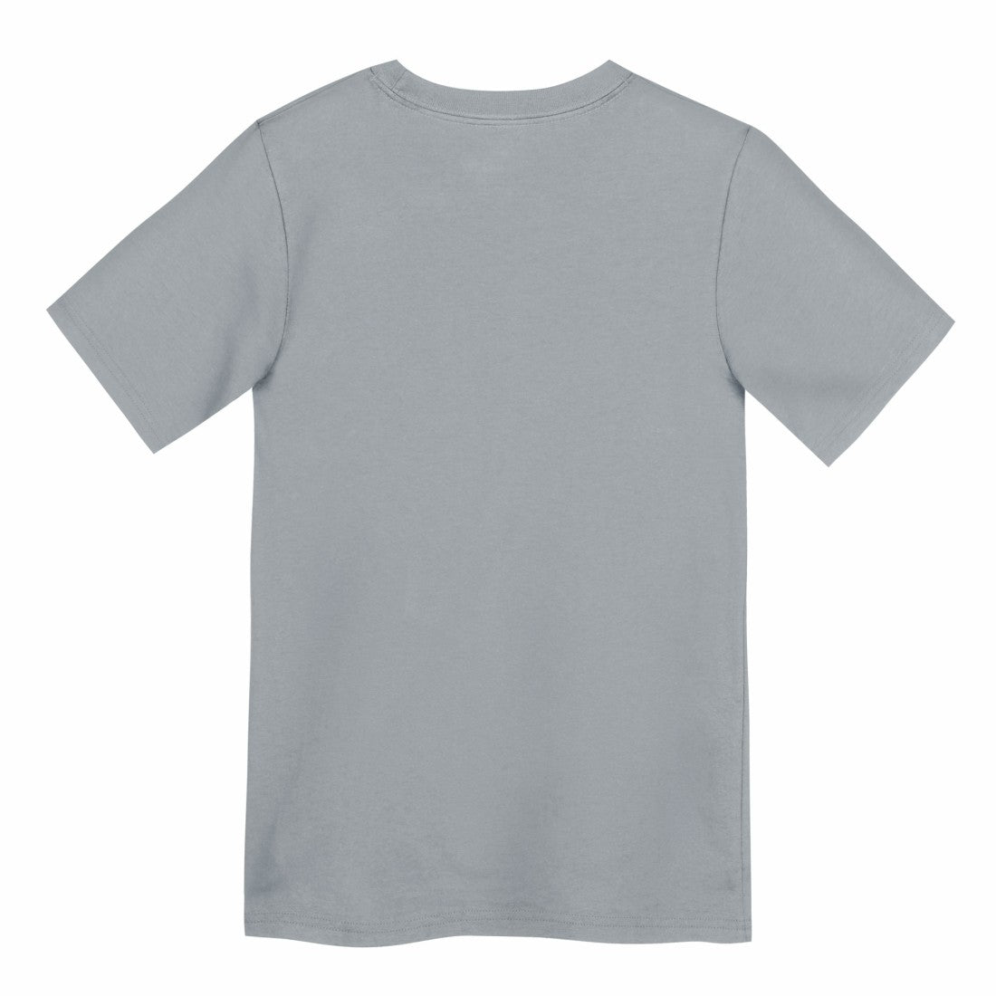 Detroit Lions Preschool Icon Legend Dri-FIT T-Shirt Gray | Nike for Sale