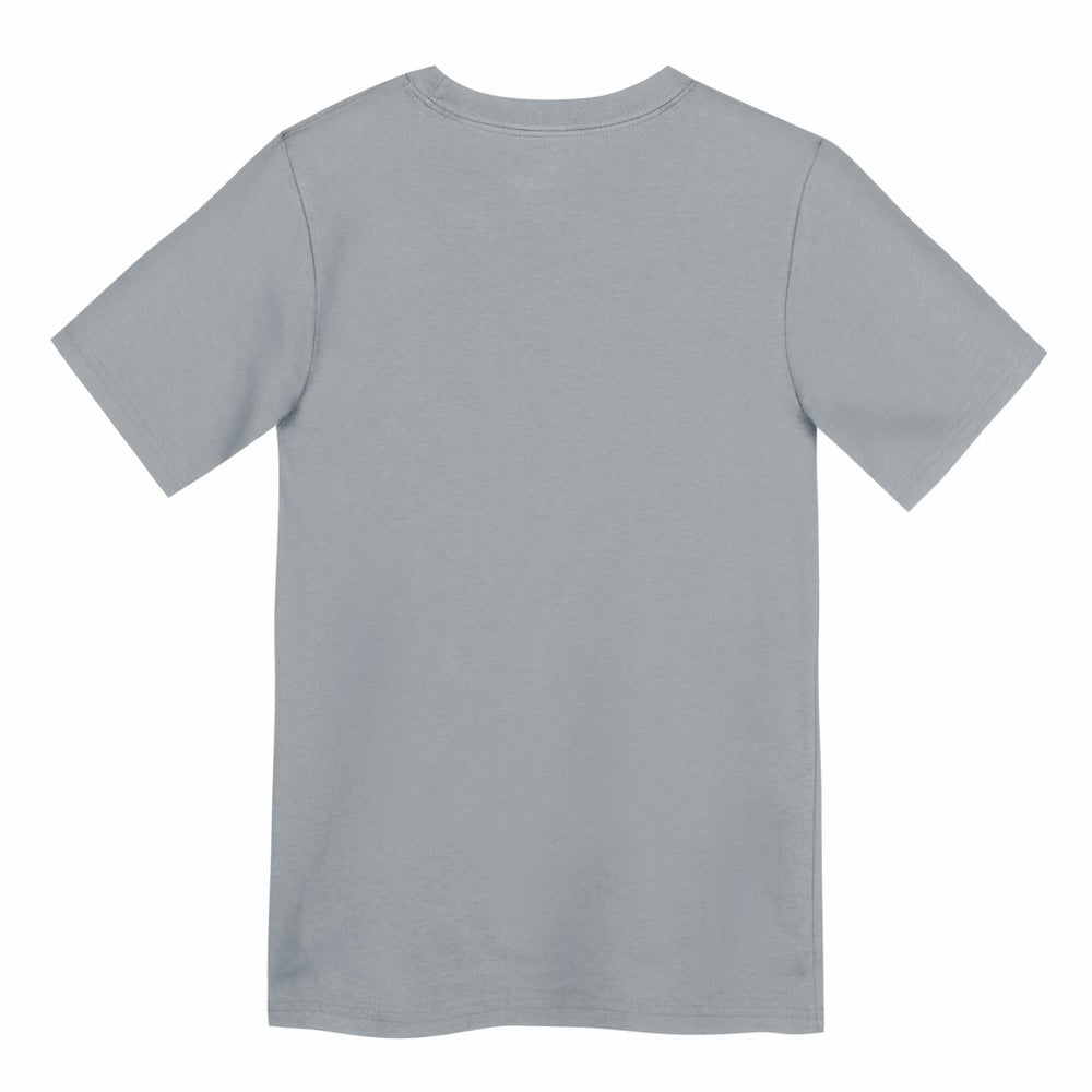 Detroit Lions Preschool Icon Legend Dri-FIT T-Shirt Gray | Nike for Sale