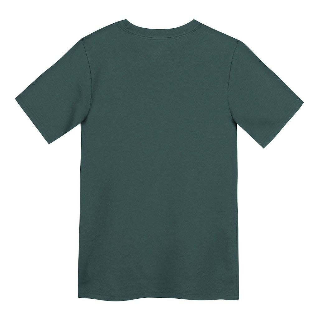 Philadelphia Eagles Preschool Icon Legend Dri-FIT T-Shirt Green | Nike for Sale